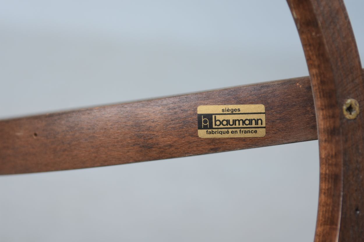 Baumann house parrot coat door