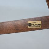 Baumann house parrot coat door