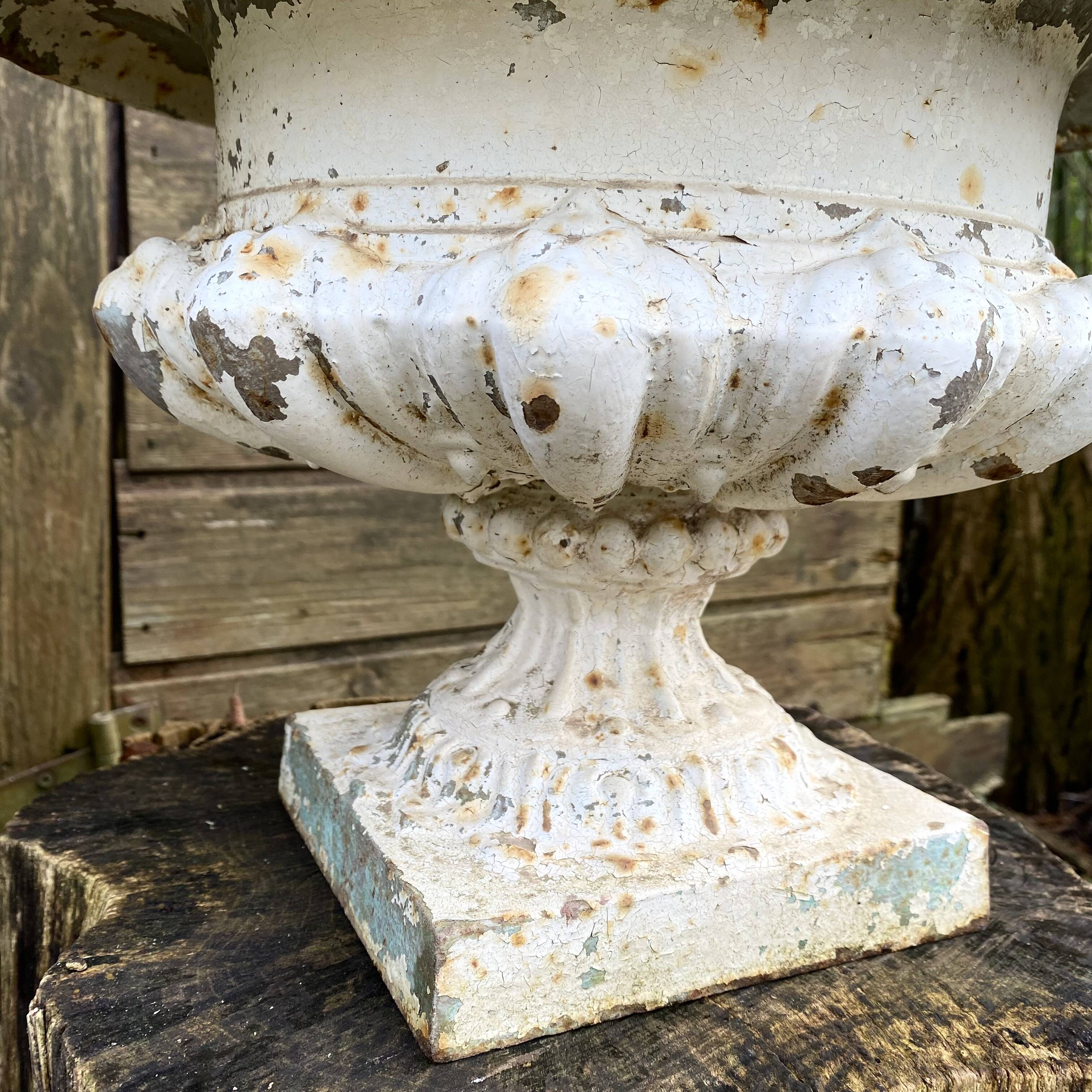 Médicis planters in cast iron old villa