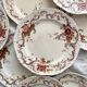 8 polychrome ironstone dinner plates "Wentworth" by Emile Bourgeois