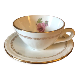 Old cup