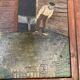 Naïve painting
