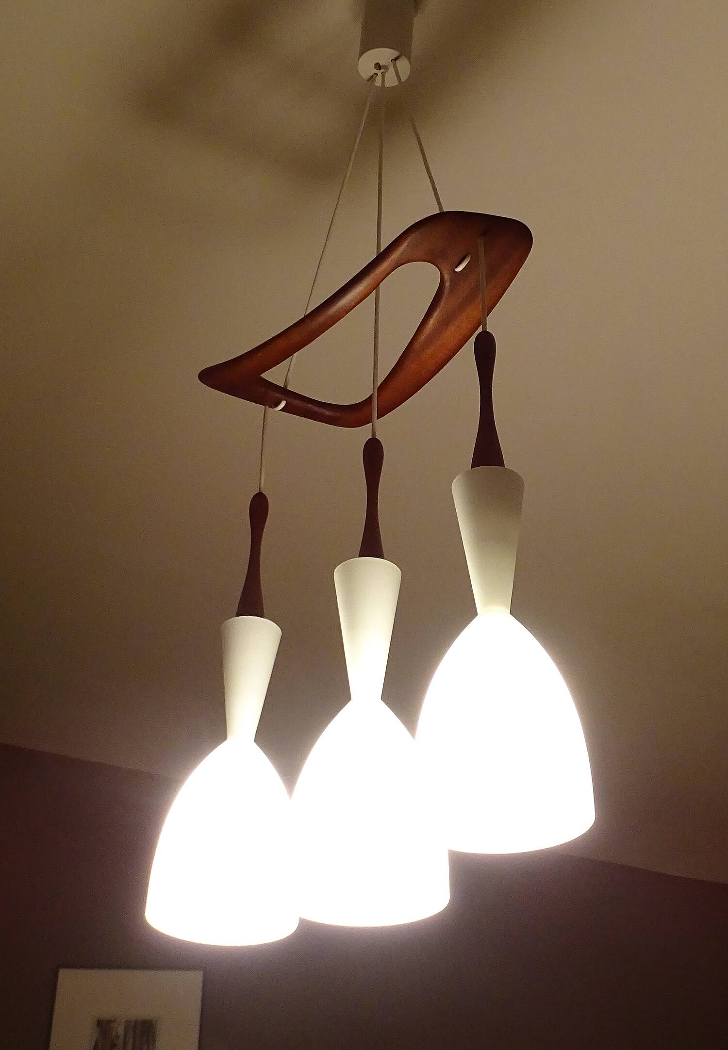 Large Scandinavian Pendant Light, Teak Wood and Glass
