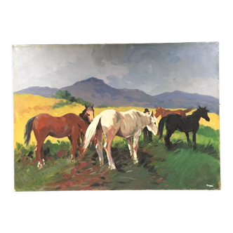 Painting wild horses