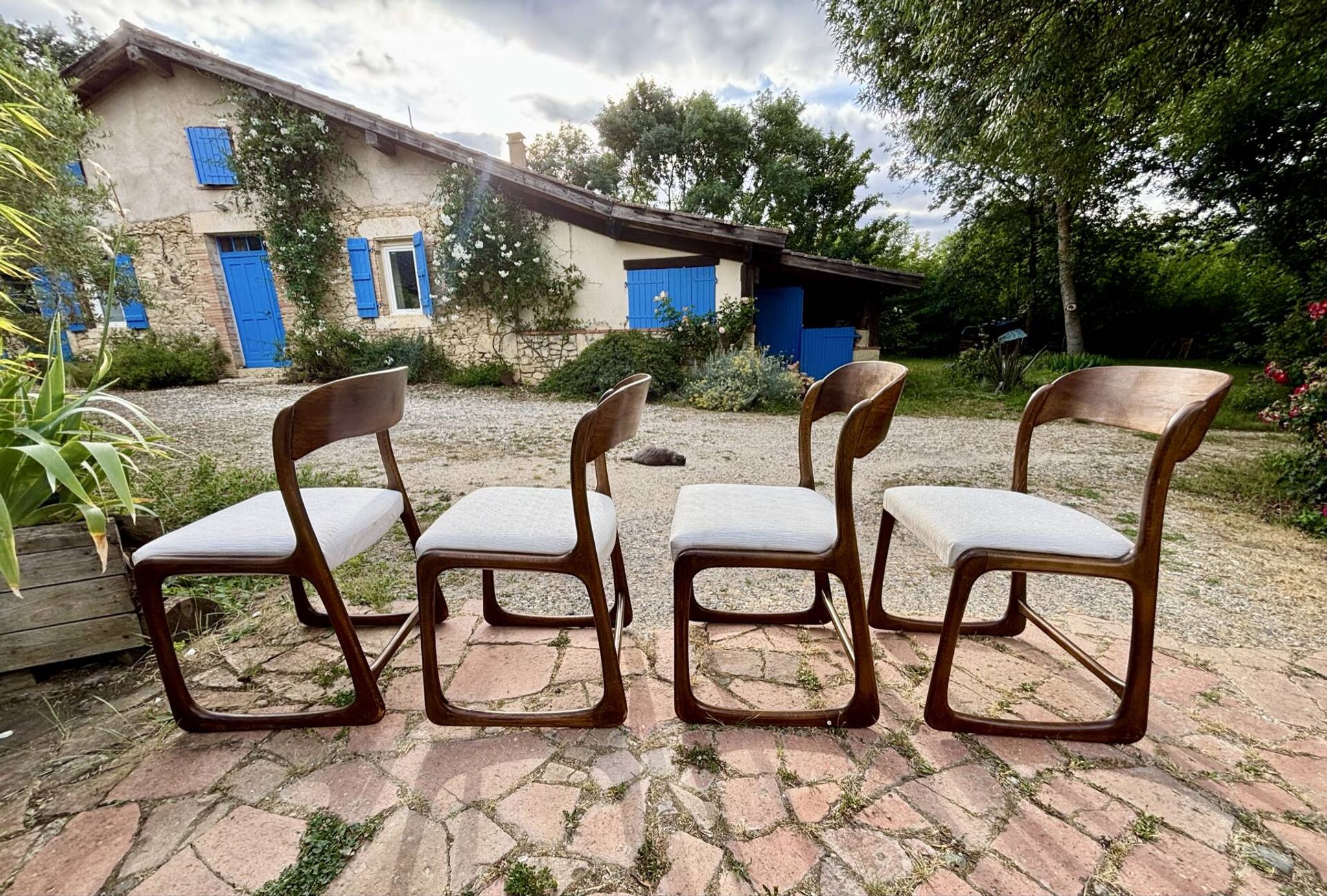 Four vintage Baumann sled chairs from the 1960s 1970s.