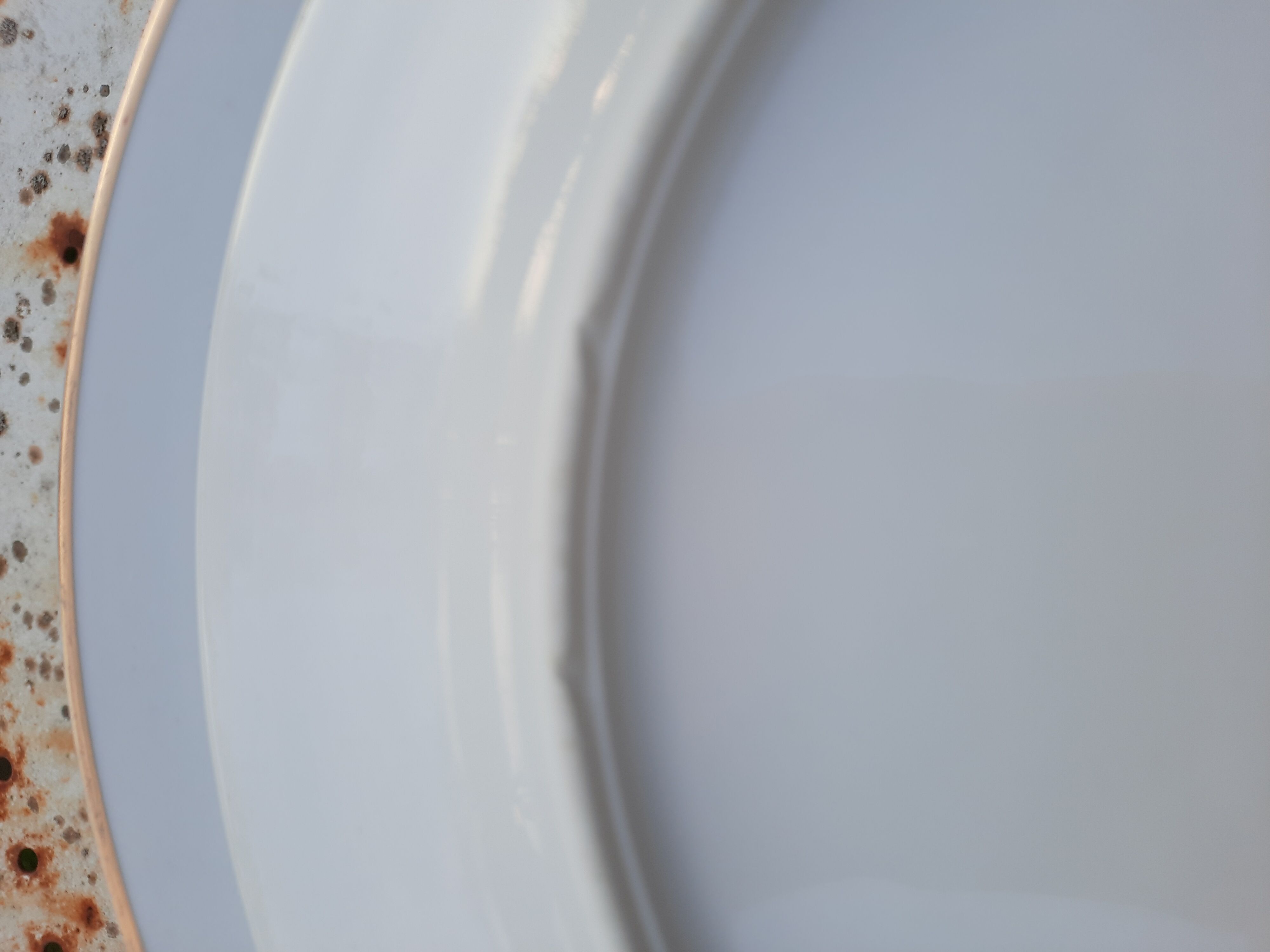 10 white flat plates Limoges