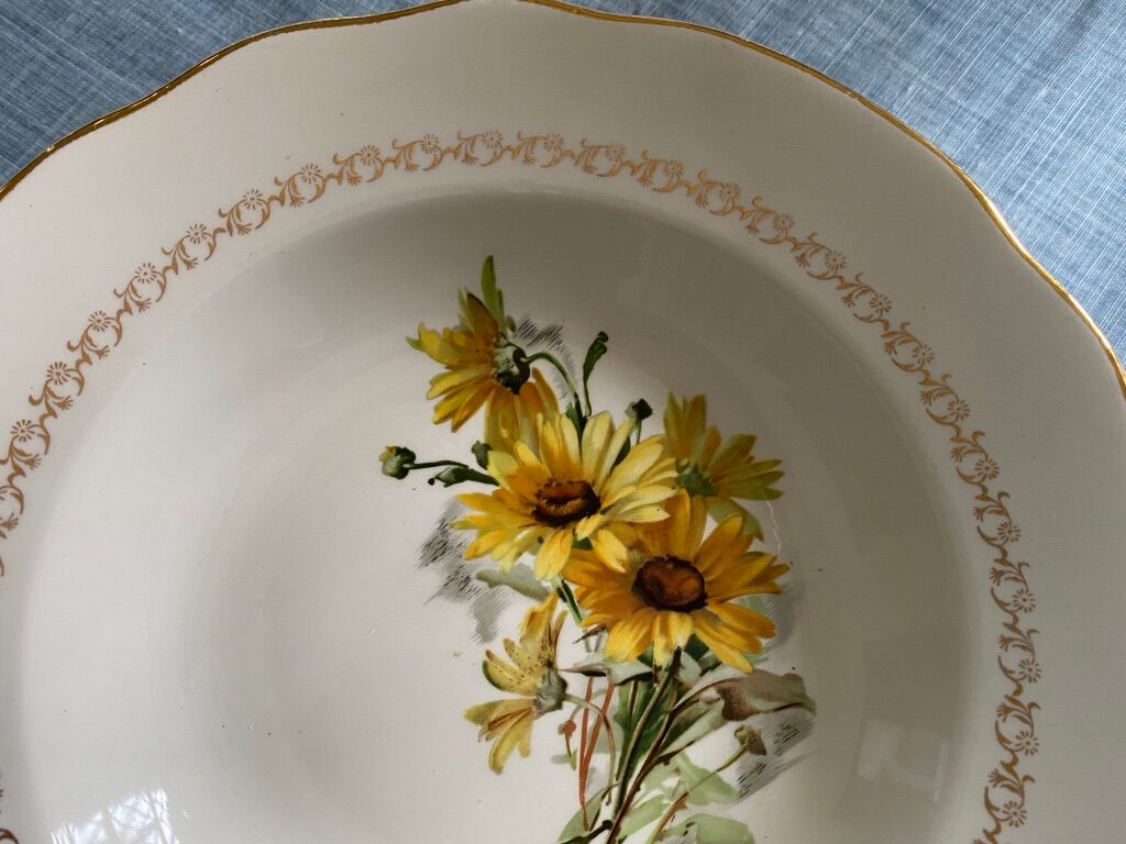 Lot of plates flat and hollow 10-10. "Margurites" by Gien. 1960s-70s.