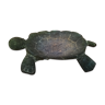 Vintage turtle