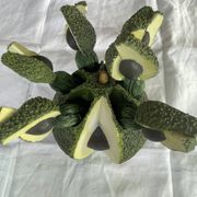 Barbotine-style avocado and 6 avocado spoons Vintage 80 Siléa