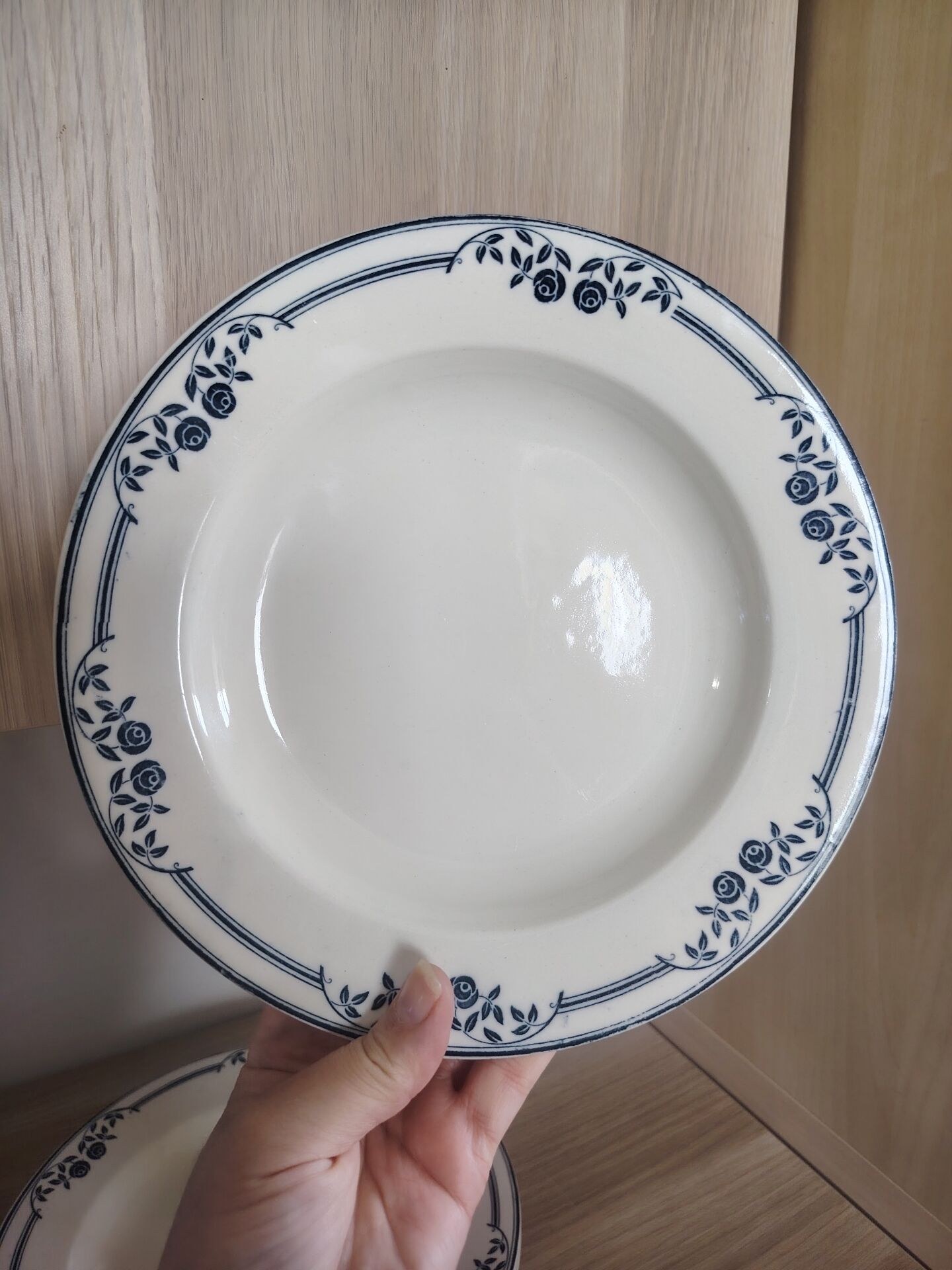 Deep plates ironstone Saussure