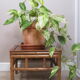 Old square side table 1970