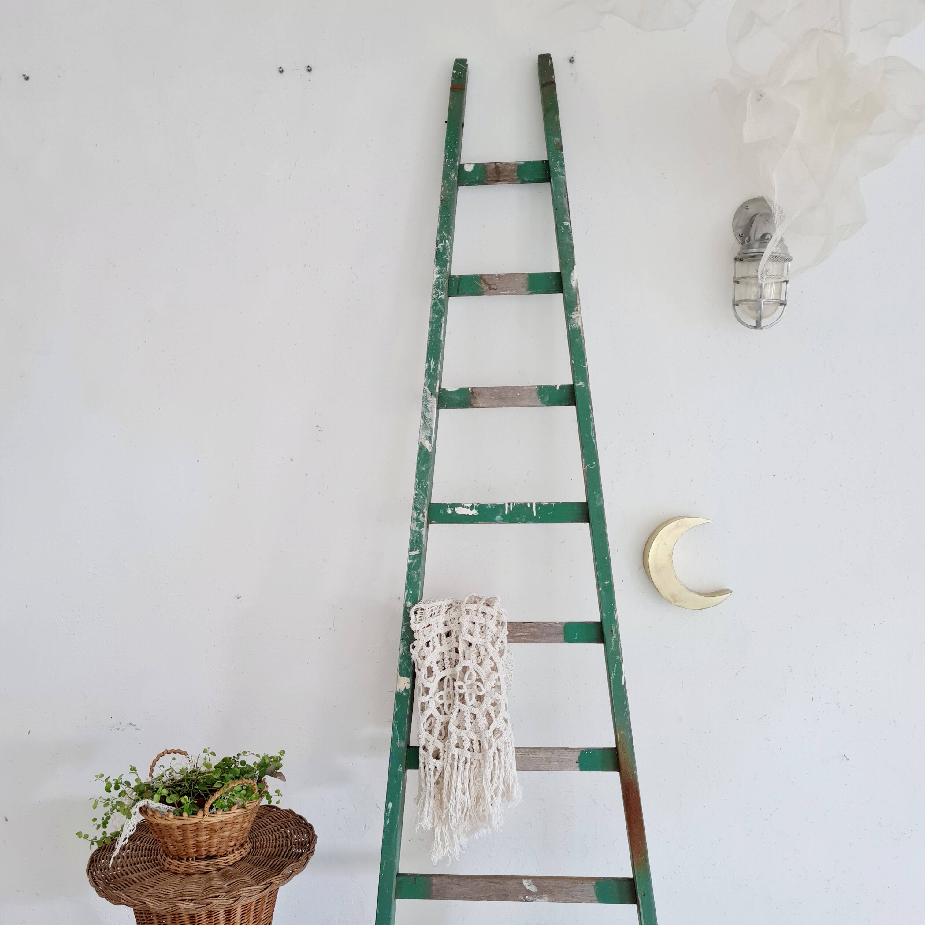 Échelle ancienne verte en bois patinée