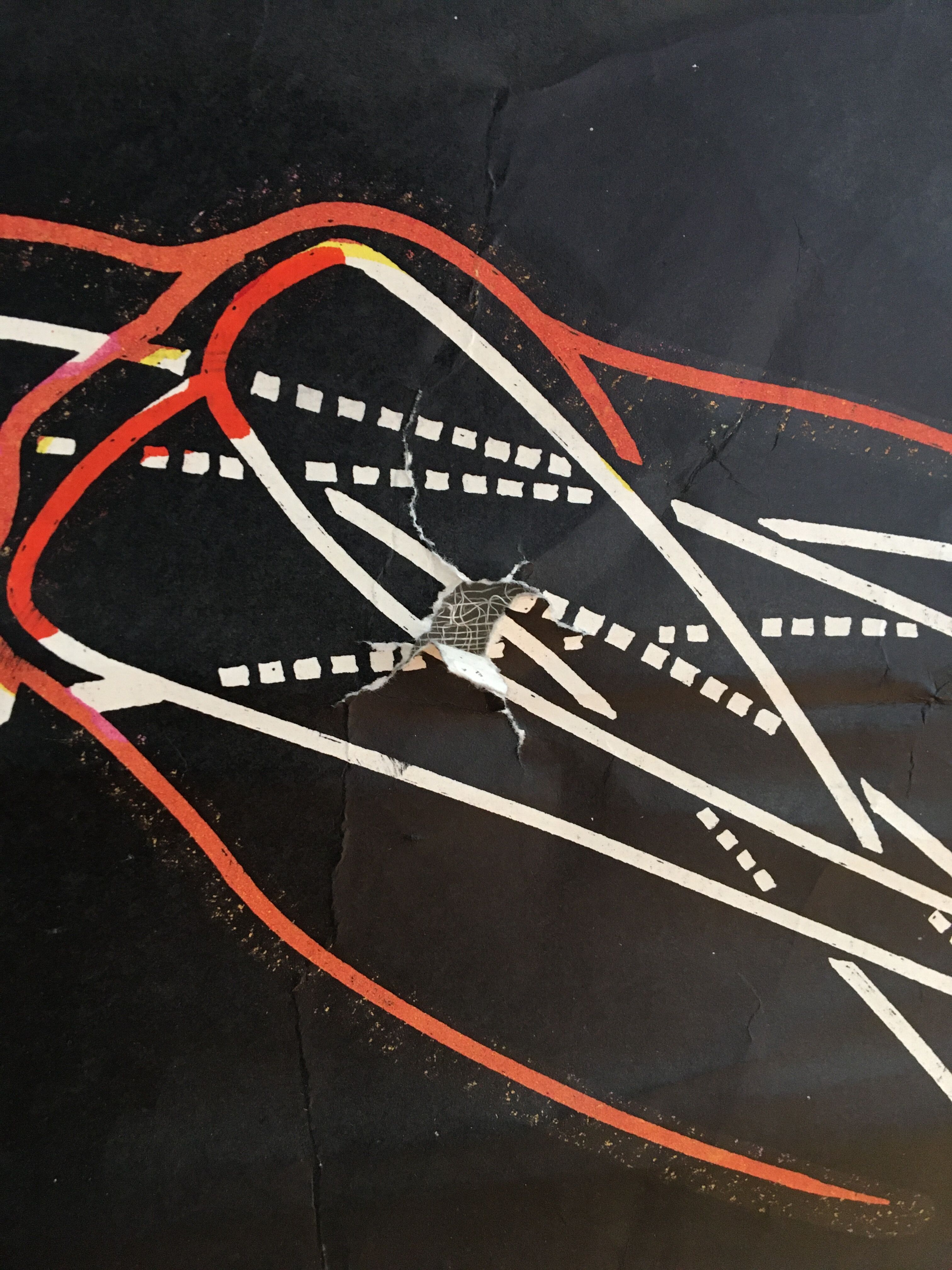 Dr. Auzoux's school poster: The Frog