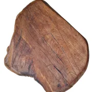 Mid-century hand-carved oak stool with natural edge – 1950s