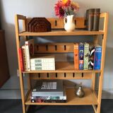 Bookseller's shelf, library
