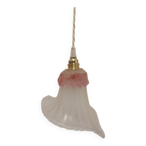 Fleur vénitienne de