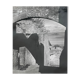 Photographies anciennes noir et blanc argentique début XXe