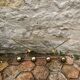Vintage wall-mounted coat rack
