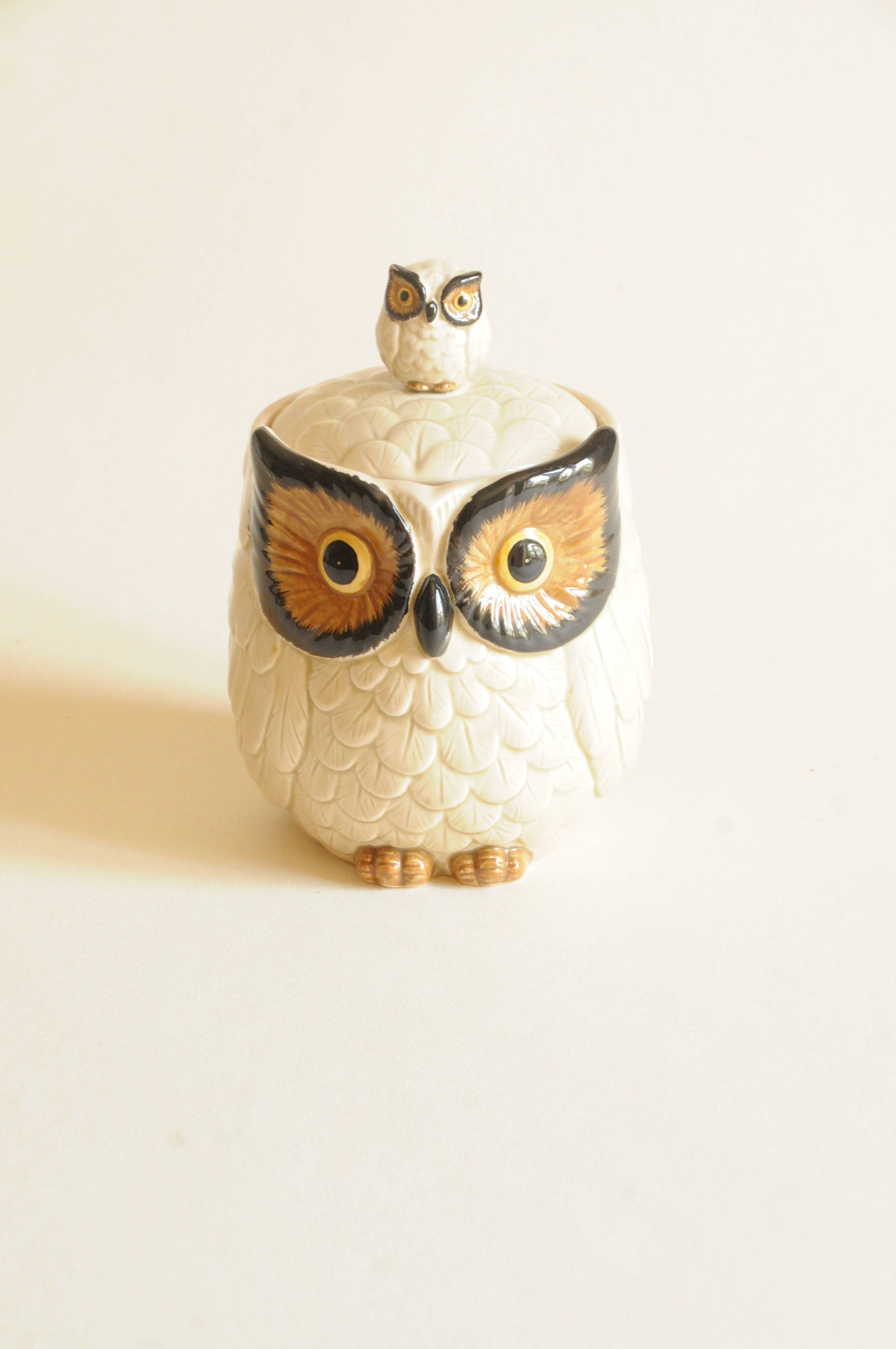 Vintage 1970s Cookie Jar - Owl Decor - Otagiri Japan