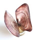 Shell on resin base, 70s
