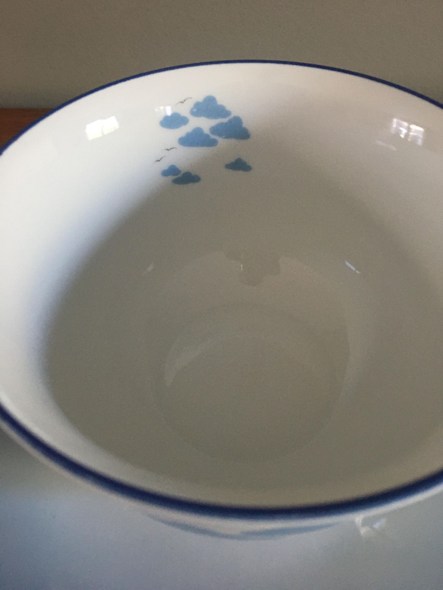 Xxl porcelain bowl