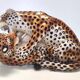 Hand Painted Ceramic Pair of Fighting Jaguars by Giovanni Ronzan, Italy