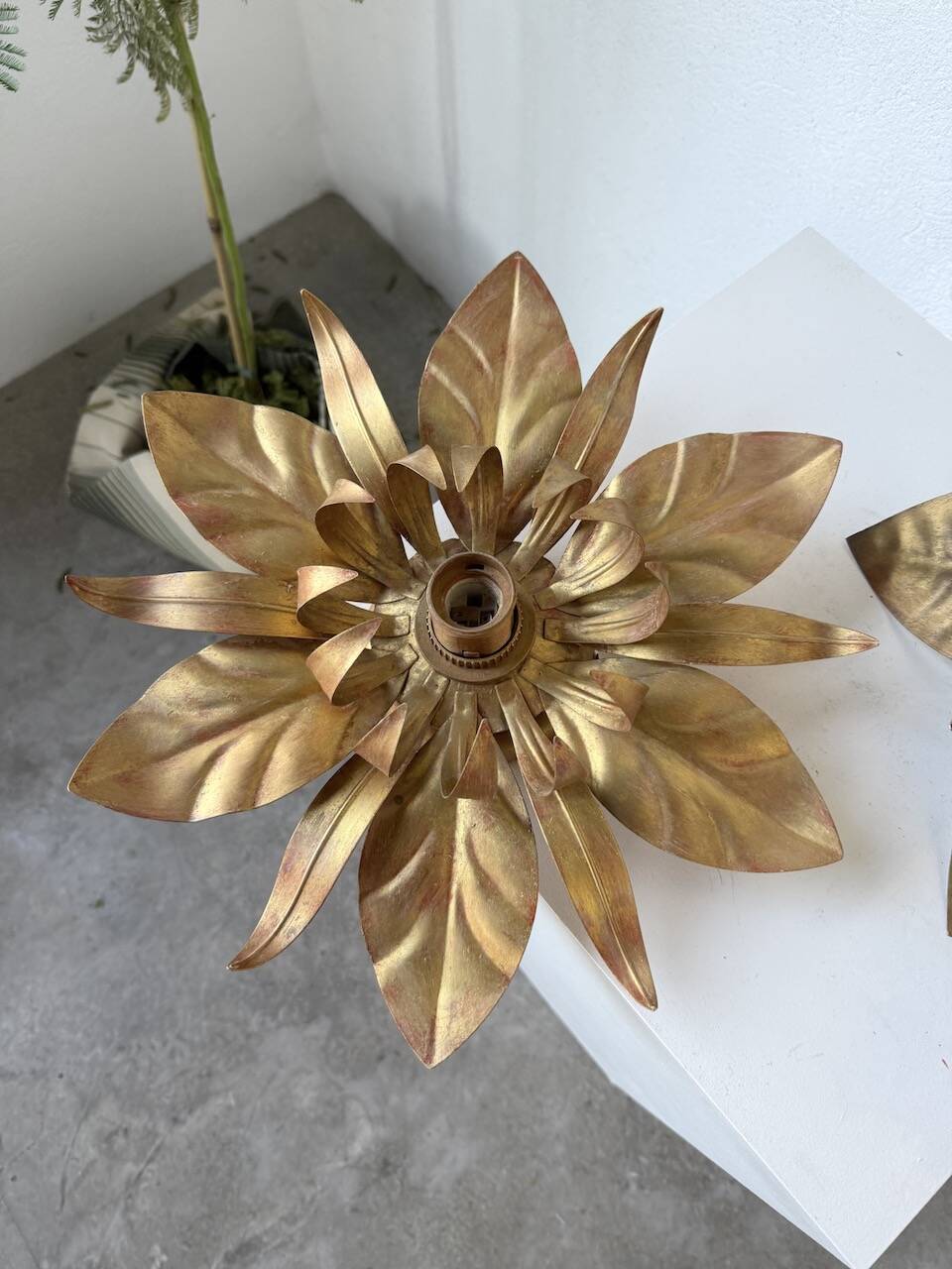 Pair of gold metal flower wall lights