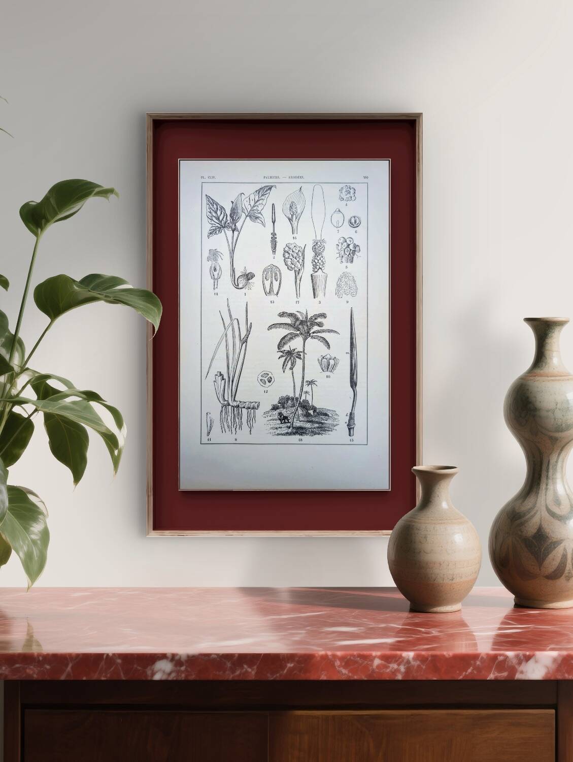 Printed in 1889, Palms and Aroideae. Old botanical plate.