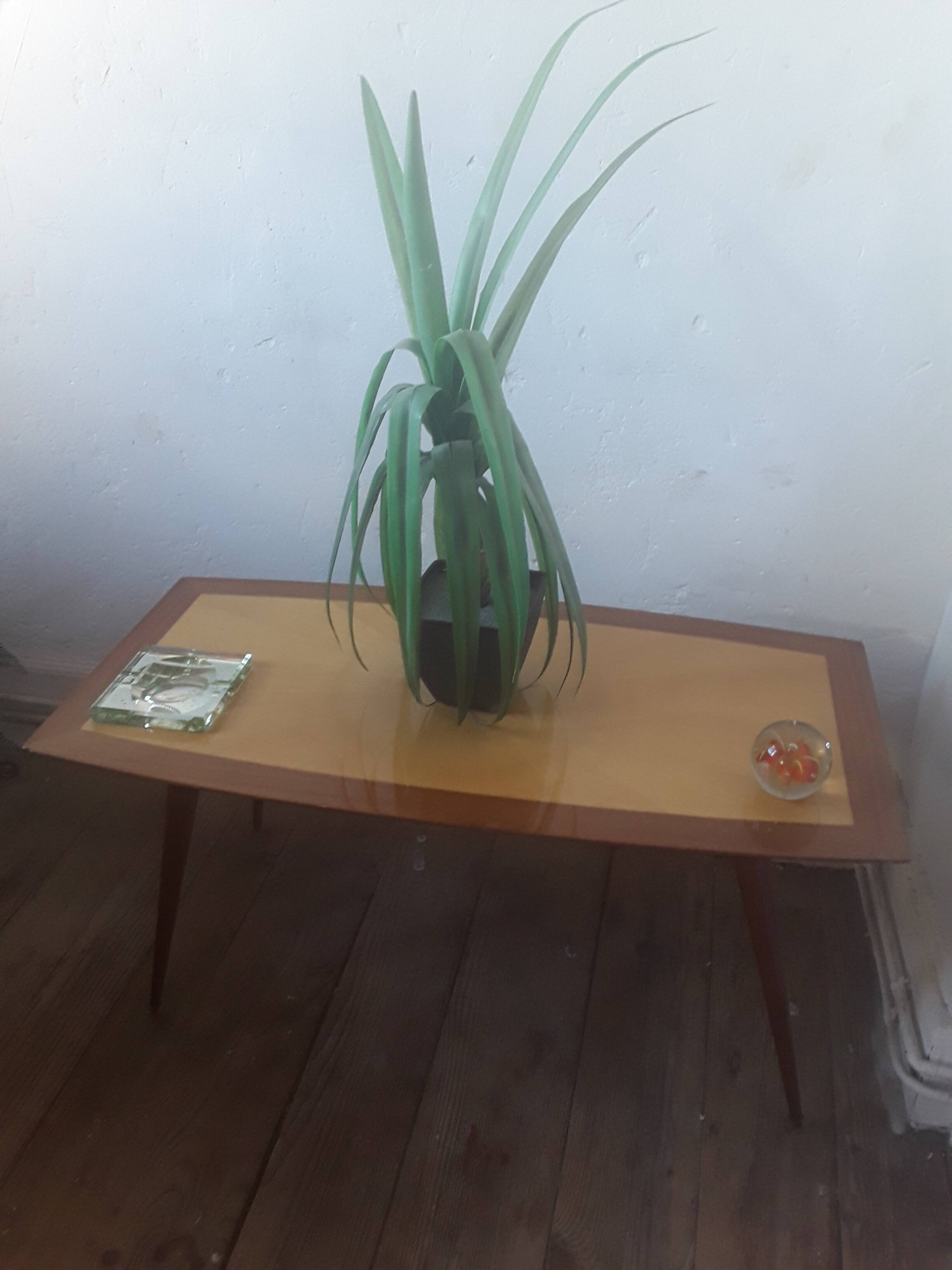 50s/60s coffee table