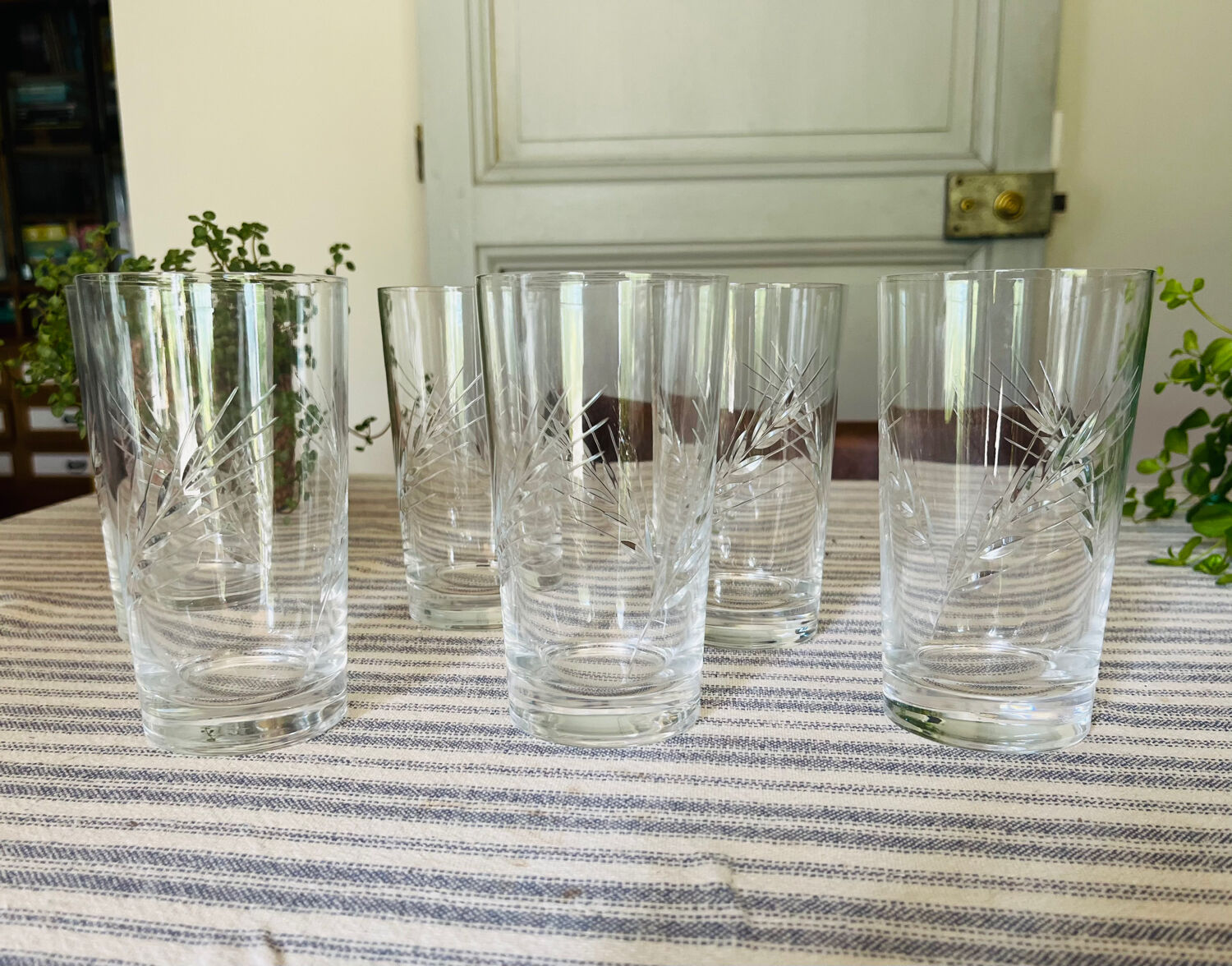 Crystal lenses pattern ears x6