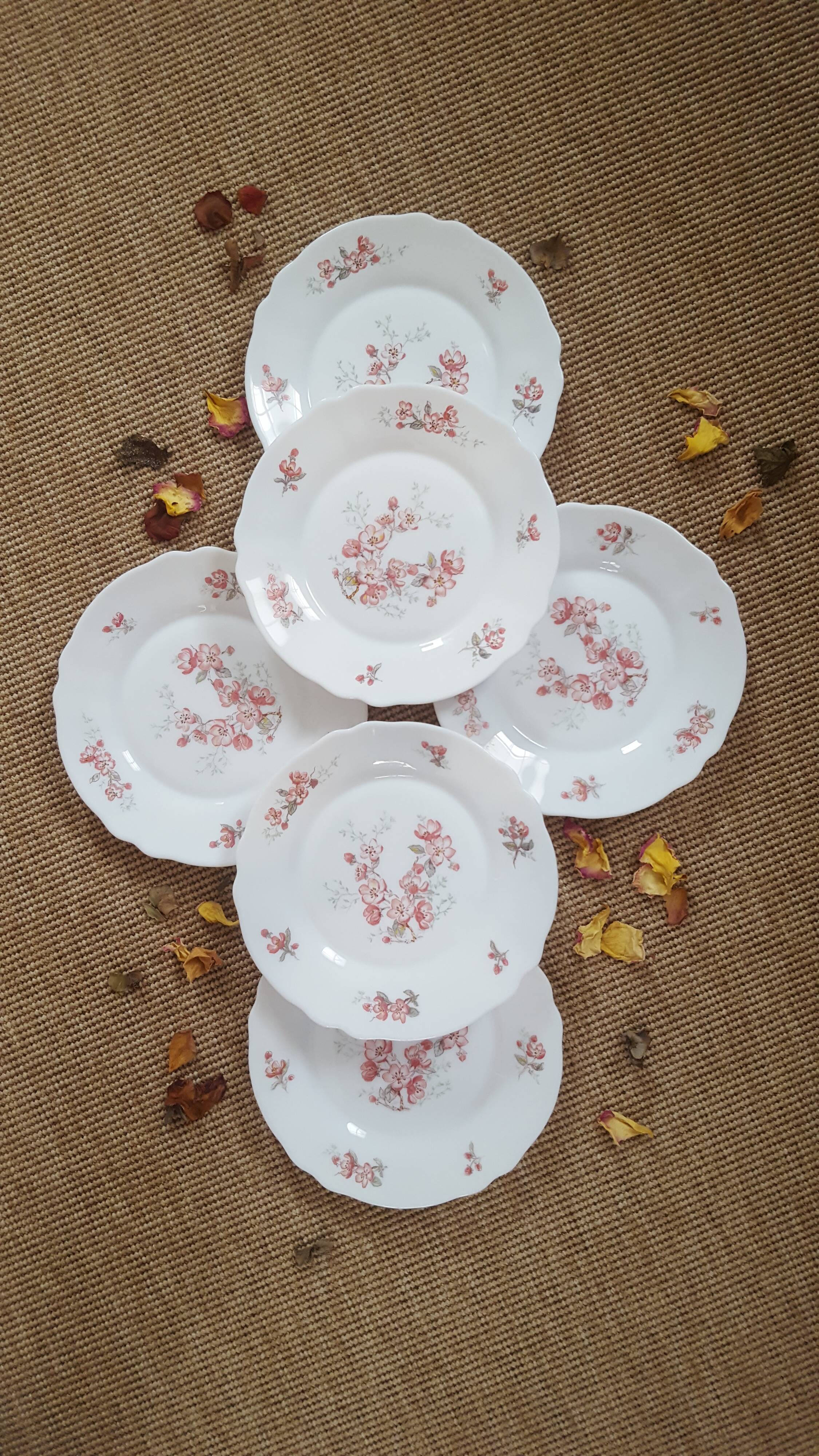 Assiettes dessert vintage arcopal fleuries
