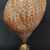Cabinet de Curiosités coquillage tonna perdix sur socle