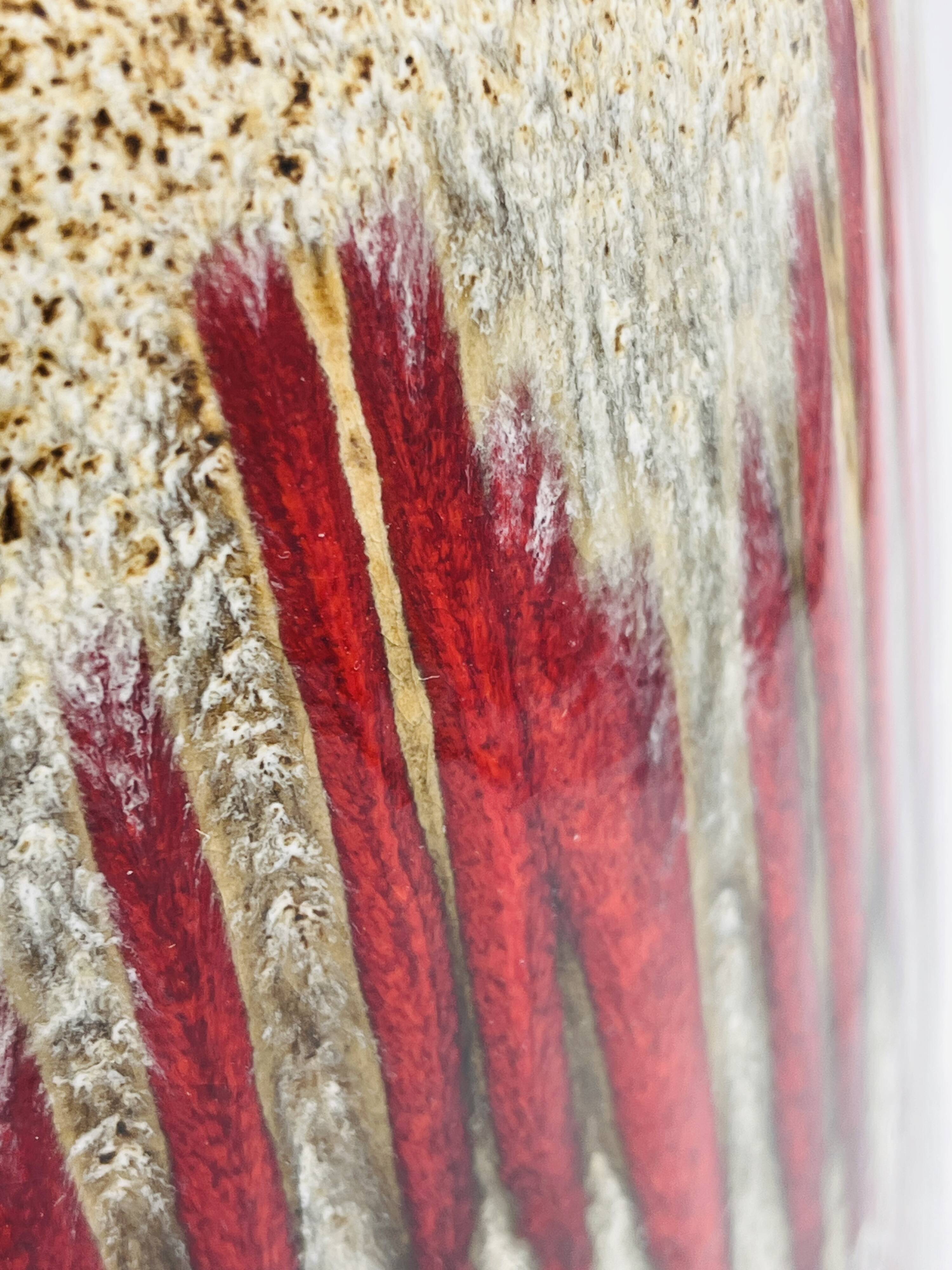 Scheurich vase model Lora