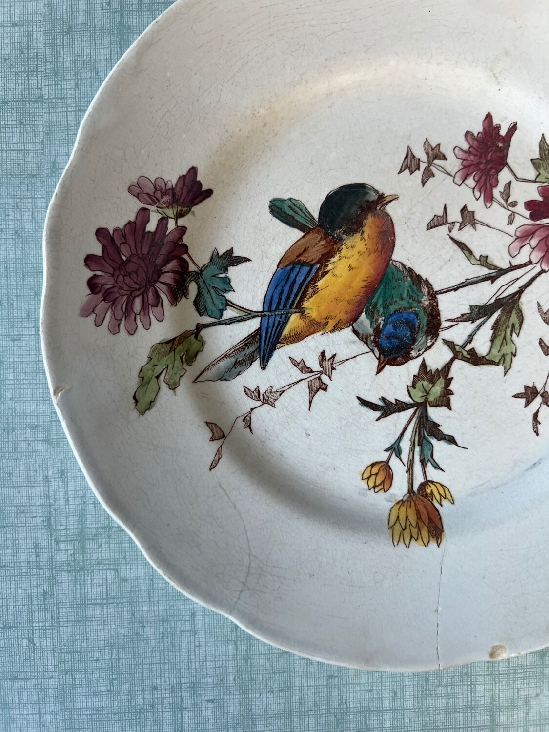 6 polychrome flat plates HB&Cie Choisy Le Roi
