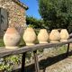 Terracotta paloma pot