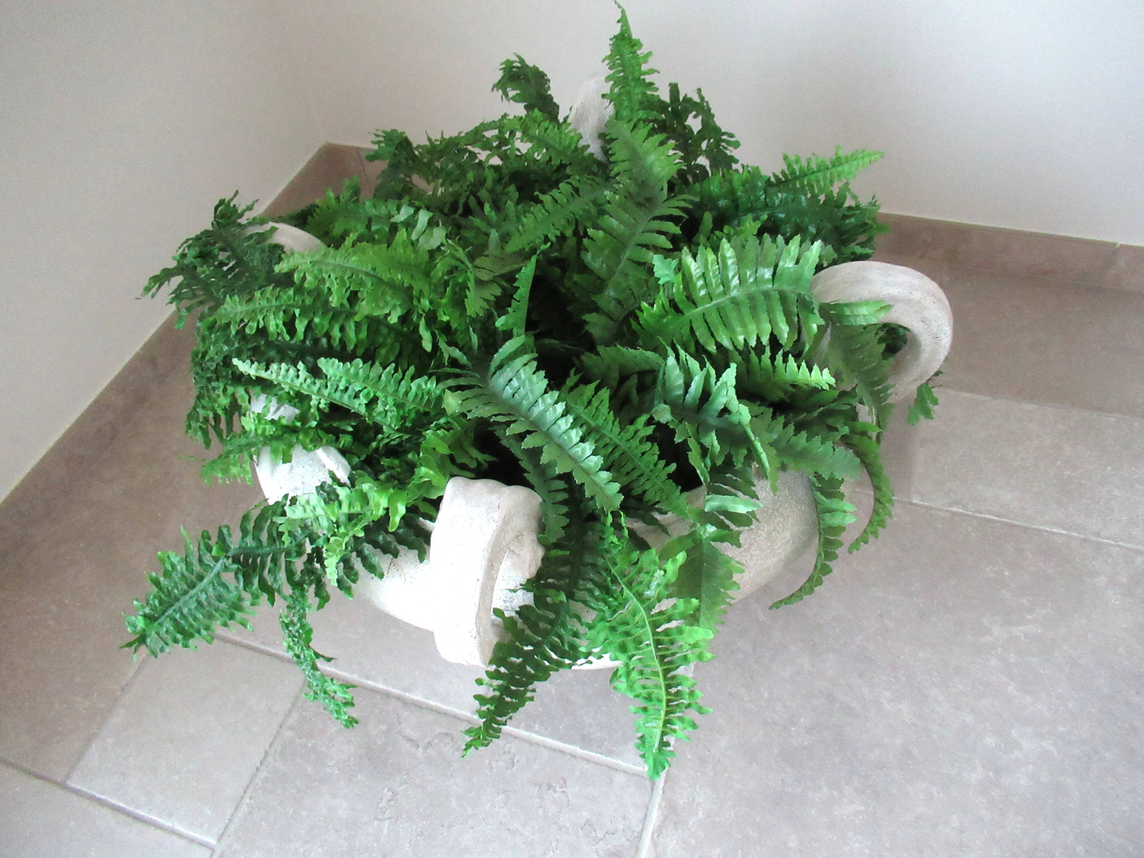 Paolo Marioni coupe / table foot / decoration / container with silk ferns