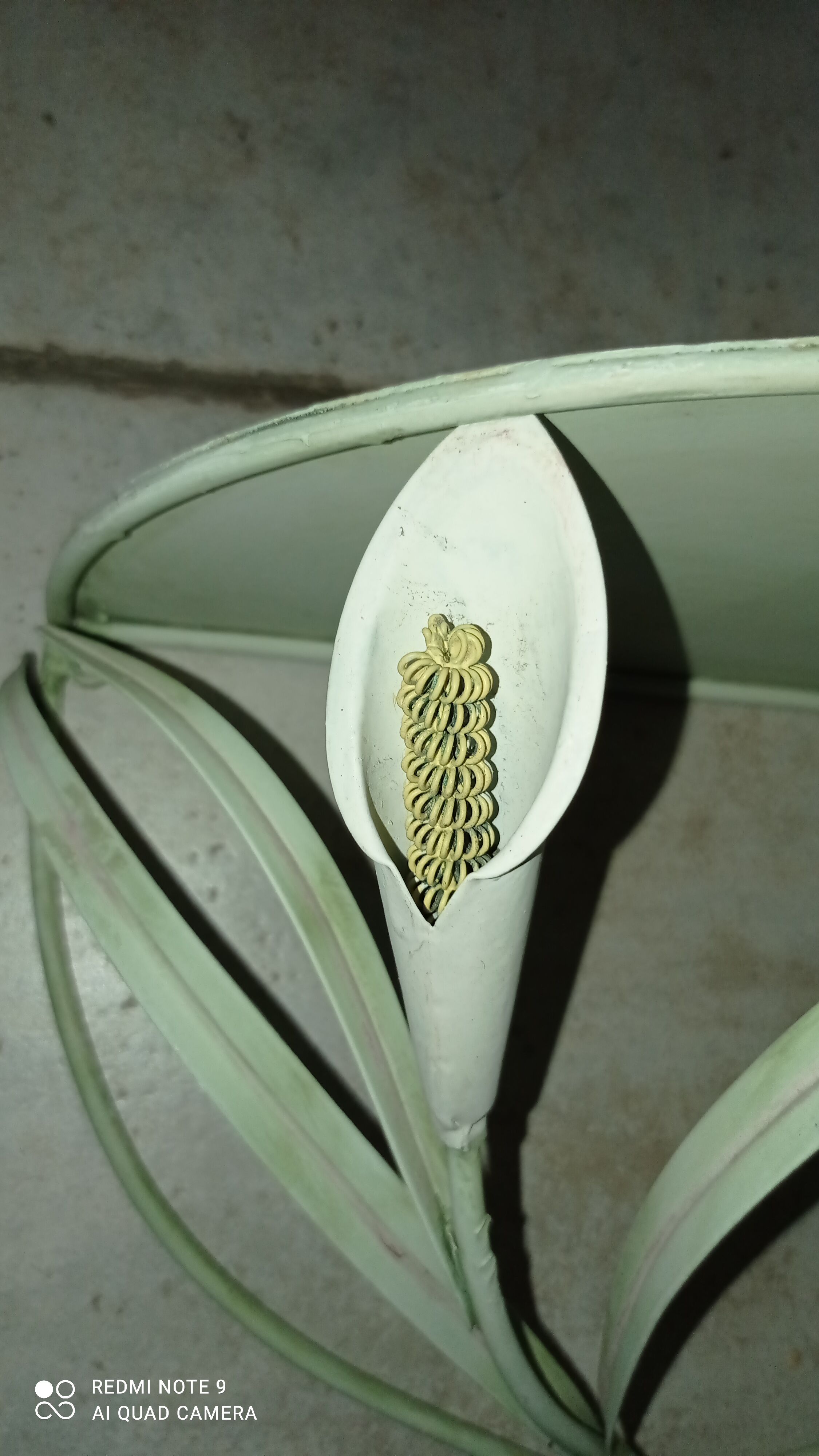 Duo of wrought iron shelves