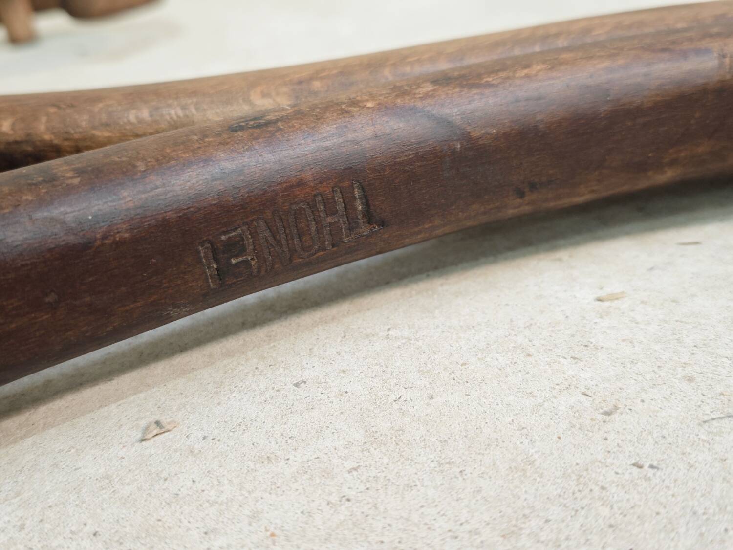 Thonet No. 1 Parrot Coat Rack on Wall, 1900s