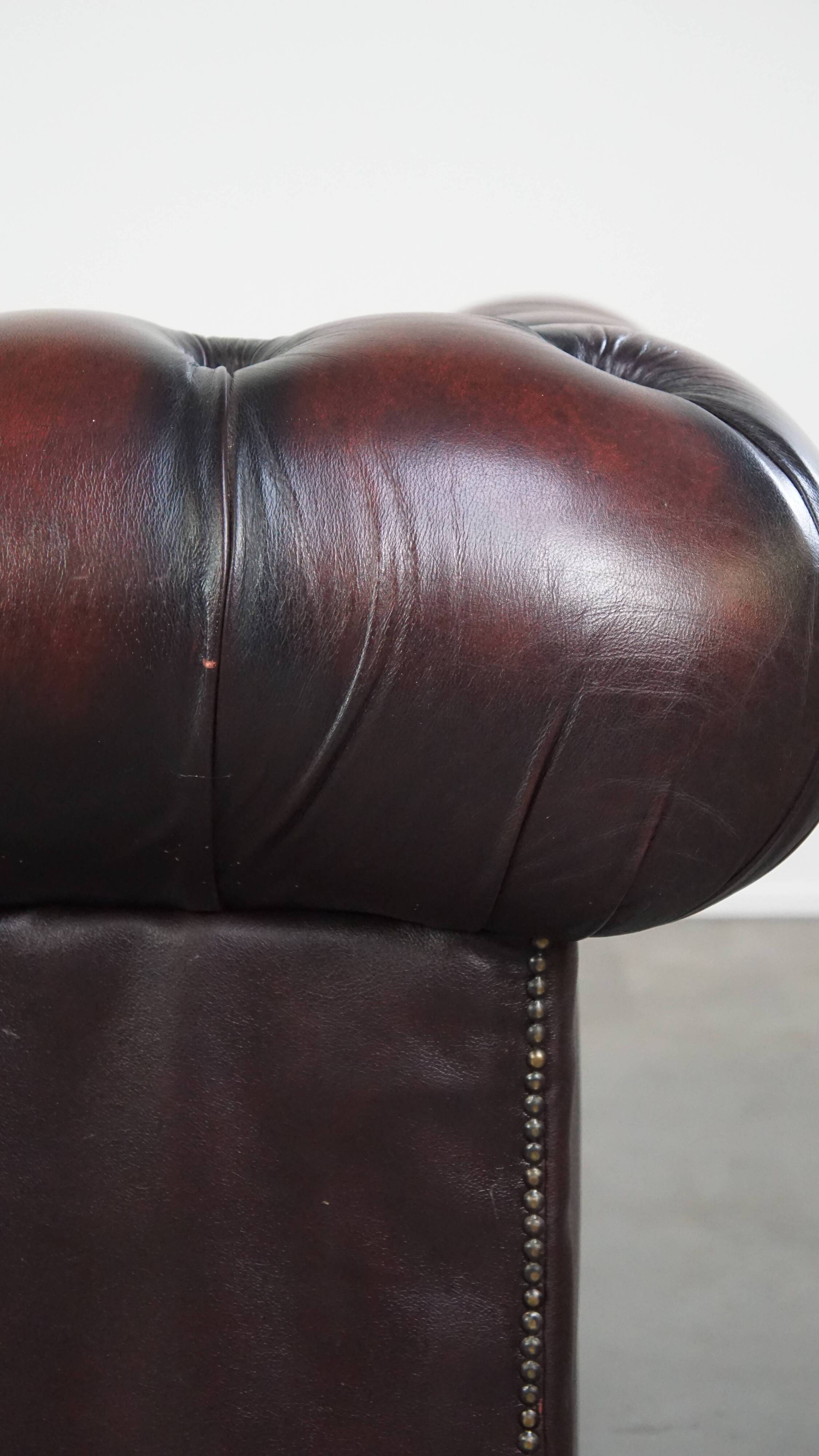 2.5-seater Chesterfield sofa in dark red flamed cowhide leather