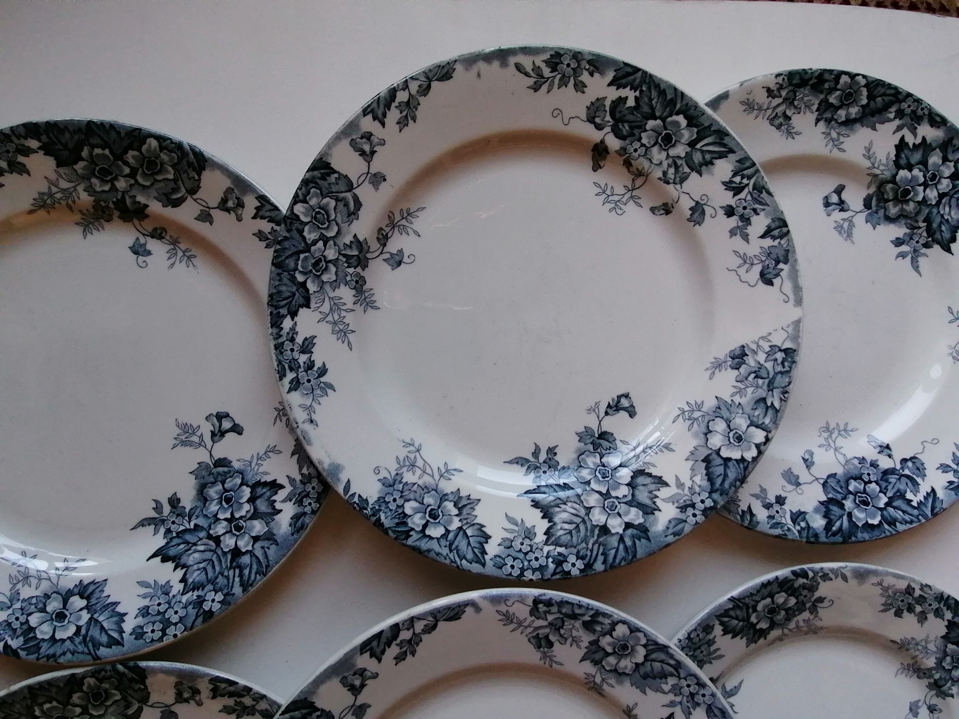 6 plates earth of iron blue and white mill of wolves