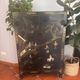 Magnifique cabinet chinois laqué noir et or