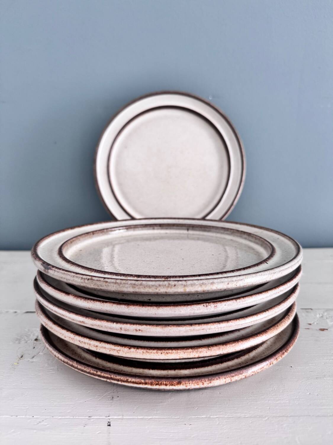 6 Stogo Scandinavian stoneware dinner plates