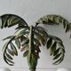 Pair of bamboo and palm sconces in metal