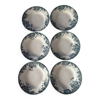 Set of soup plates