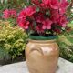 Brown stoneware jar pot