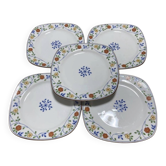 Assiettes Tachikichi à fleurs, Japon