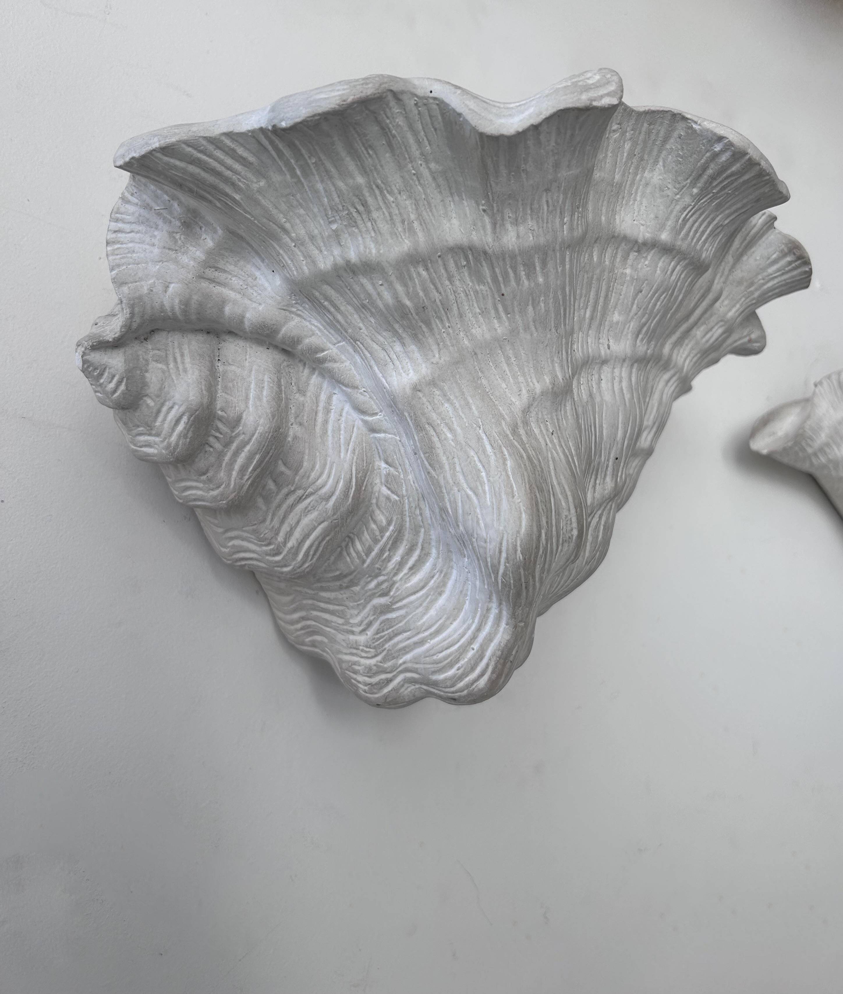 Pair of vintage shell wall lights, matte white plaster, France 1940