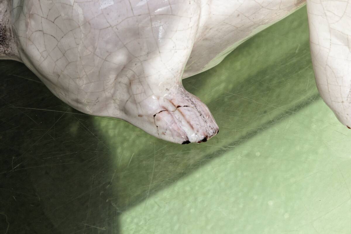 Chien, bouledogue, en terre cuite de Bavent