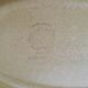 Flat oval saline sandstone