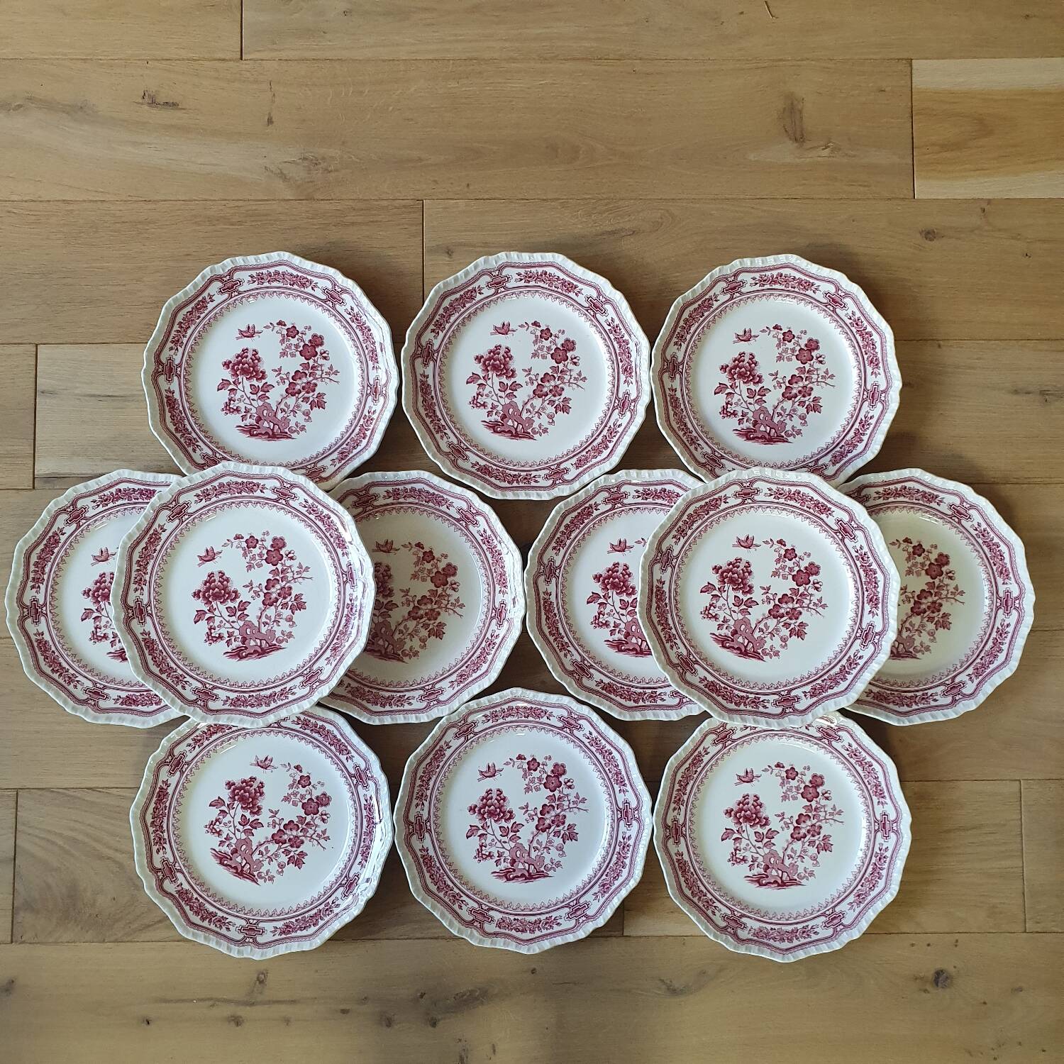 12 Mason's dinner plates